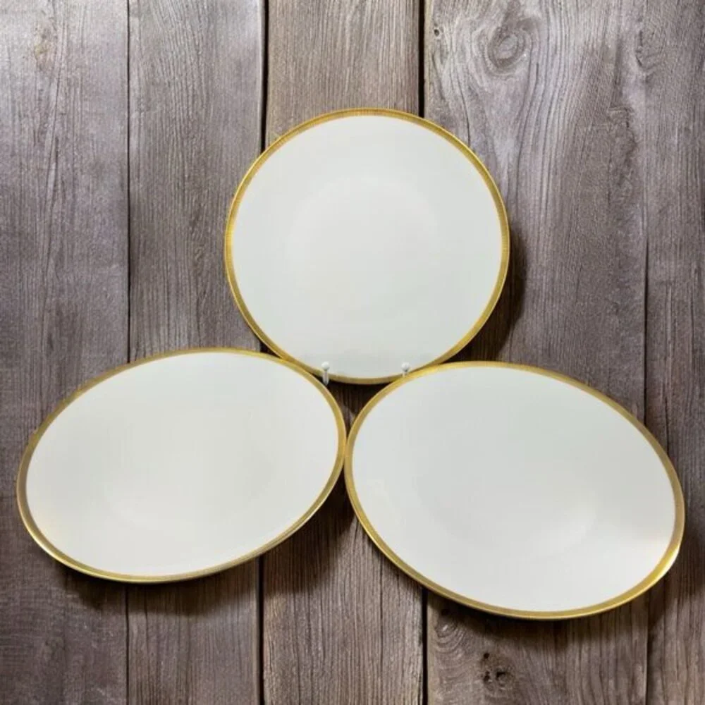 Rosenthal Germany 3680 White Gold Band Black Lines Dish Plate 9.75Inch Set 3 VTG